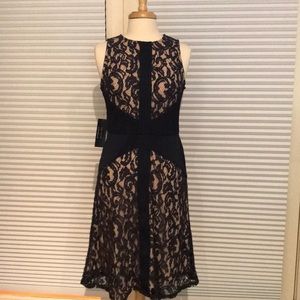 The Limited Navy Dress Size 6